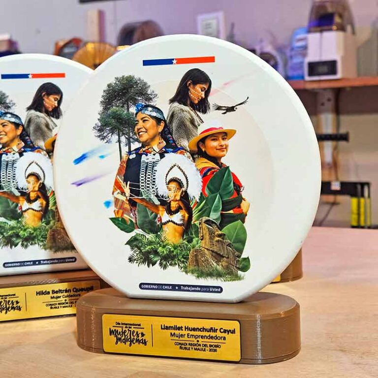 Galvano institucional personalizado del Día Internacional de las Mujeres Indígenas, con ilustraciones de mujeres de pueblos originarios, disco circular y base con placa conmemorativa.